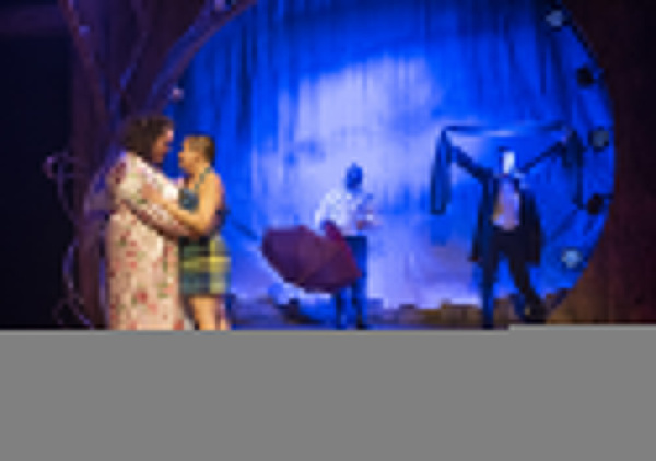 Photo Flash: First Look at Kokandy's HEAD OVER HEELS Image