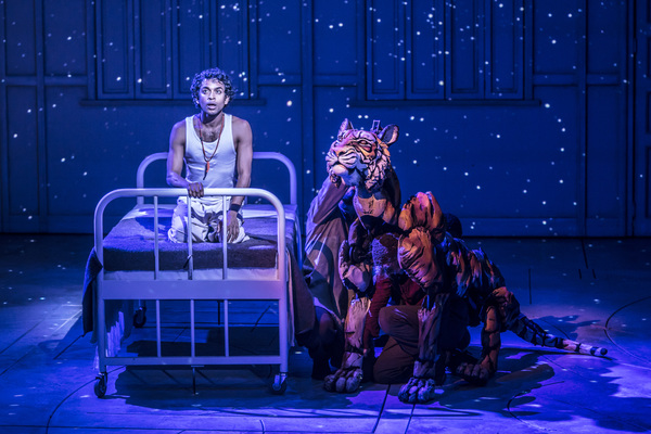 Photo Flash: First Look at LIFE OF PI at Sheffield Theatres Image