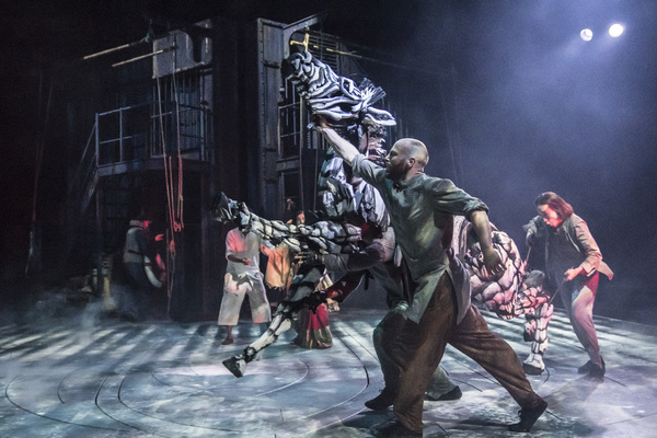 Photo Flash: First Look at LIFE OF PI at Sheffield Theatres Image