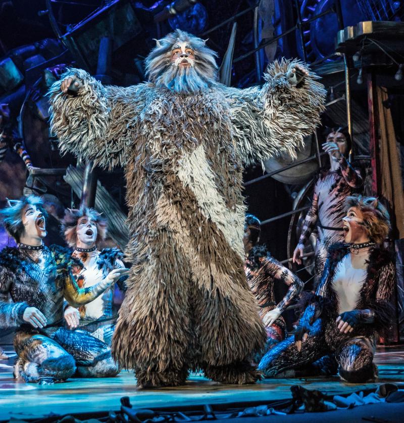 Review: CATS at Starlight Theatre Image