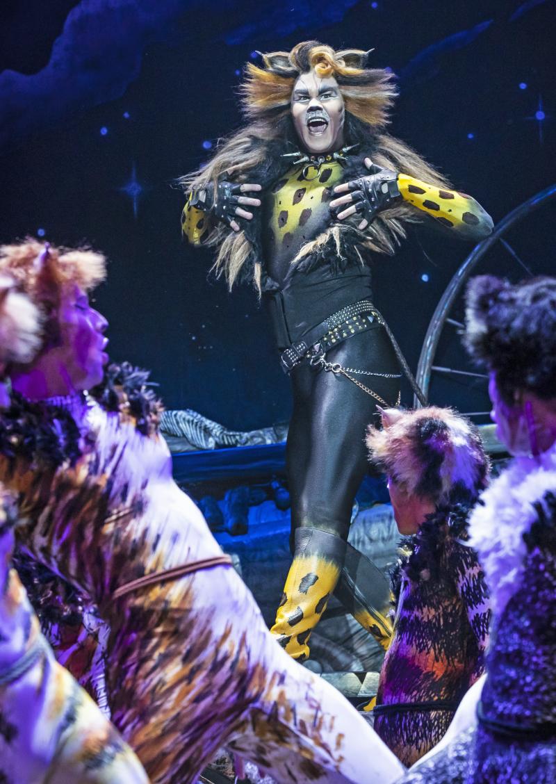 Review: CATS at Starlight Theatre Image