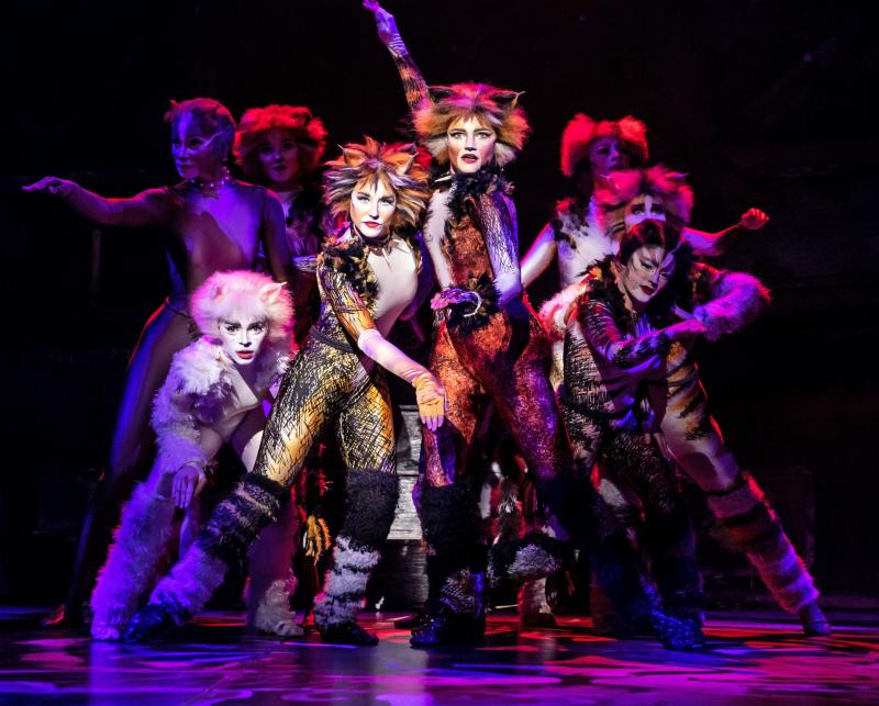 Review: CATS at Starlight Theatre Image