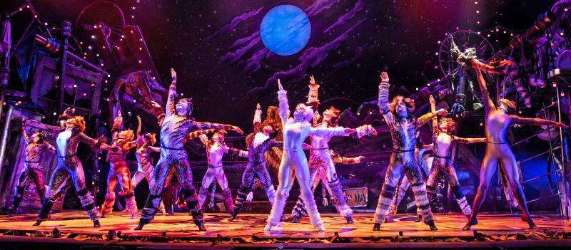 Review: CATS at Starlight Theatre Image