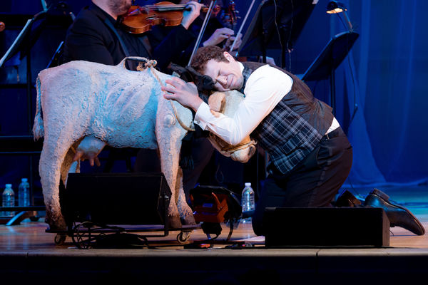 Photo Flash: Head INTO THE WOODS with the Starry Cast of the Town Hall Concert  Image