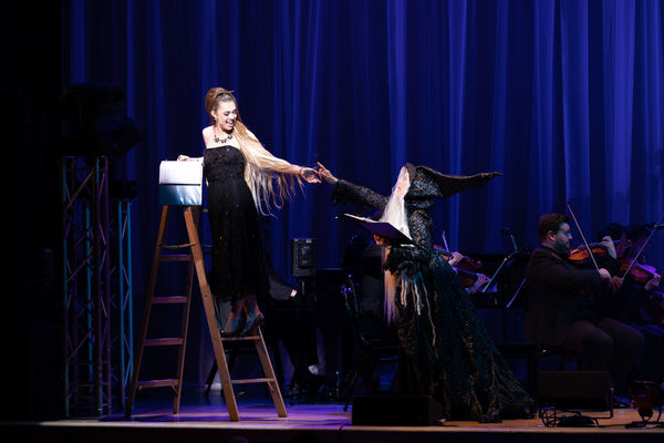 Photo Flash: Head INTO THE WOODS with the Starry Cast of the Town Hall Concert  Image