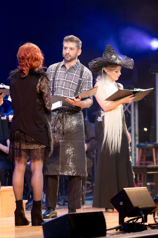 Photo Flash: Head INTO THE WOODS with the Starry Cast of the Town Hall Concert 