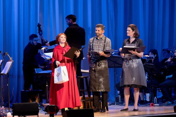 Caitlin Houlahan, Tony Yazbeck, and Kate Shindle Photo