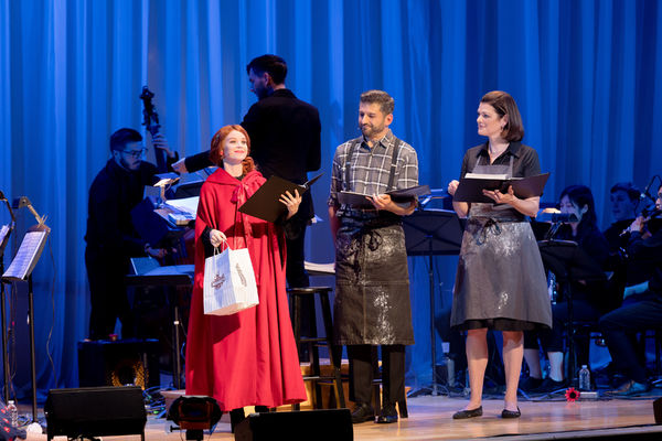 Photo Flash: Head INTO THE WOODS with the Starry Cast of the Town Hall Concert Image