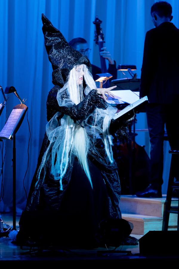 Photo Flash: Head INTO THE WOODS with the Starry Cast of the Town Hall Concert Image
