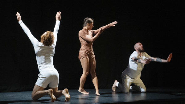 Photo Flash: London Welcomes FRANCEDANCEUK Image