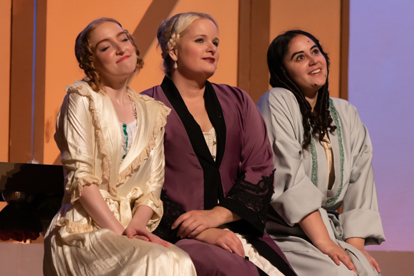 Photo Coverage: First look at Grandview Carriage Place Players' THE SLIPPER AND THE ROSE  Image