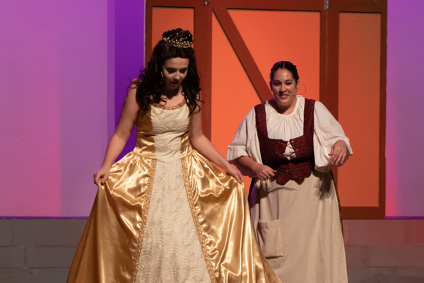 Photo Coverage: First look at Grandview Carriage Place Players' THE SLIPPER AND THE ROSE Image