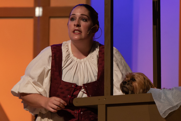 Photo Coverage: First look at Grandview Carriage Place Players' THE SLIPPER AND THE ROSE  Image