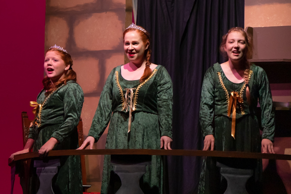 Photo Coverage: First look at Hilliard Arts Council's SHREK THE MUSICAL Image