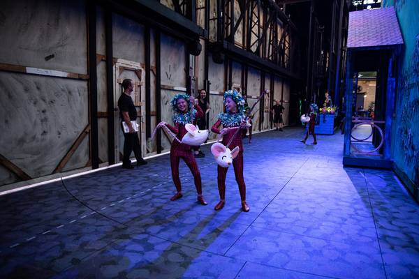 Exclusive: Go Behind The Scenes Of The Muny's CINDERELLA With Mikaela Bennett, Jason Gotay, Ashley Brown & More! Image
