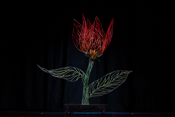 Photo Coverage: Inside New Vision Dance Co.'s FULL BLOOM Image