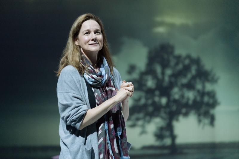 BWW Flashback: Laura Linney Takes Final Broadway Bows in MY NAME IS LUCY BARTON Image