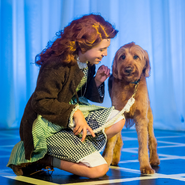 Photo Flash: First Look at TexARTS' ANNIE Image