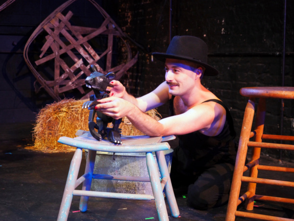 Photo Flash: CHARLOTTE'S WEB Receives Innovative New Production At Asheville Creative Arts  Image