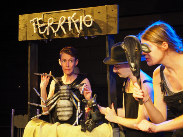 Photo Flash: CHARLOTTE'S WEB Receives Innovative New Production At Asheville Creative Arts 