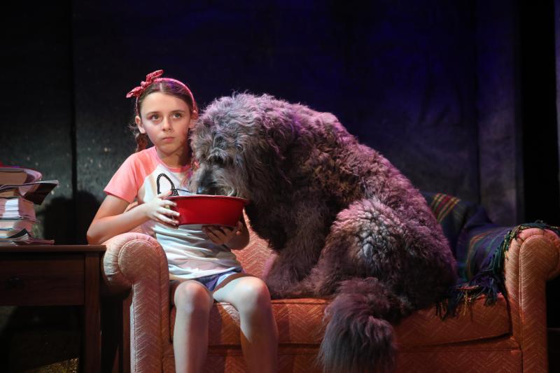 Review: BECAUSE OF WINN DIXIE at GoodspeedOpera House Image