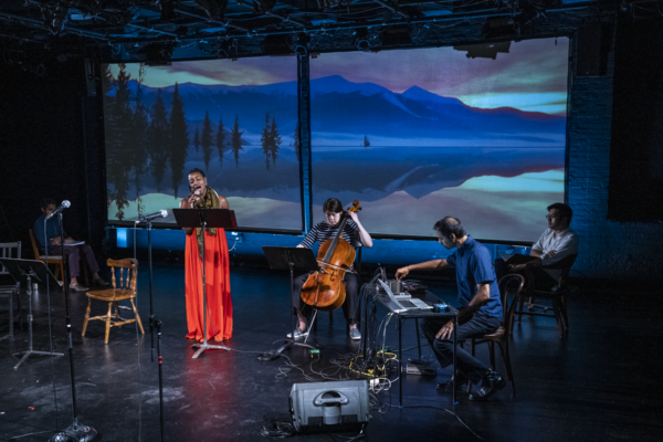 Photo Flash: First Look at Melisa Tien's SWELL at Here Arts Center Image
