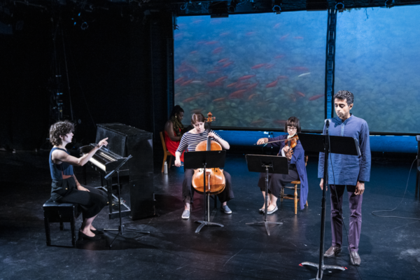 Photo Flash: First Look at Melisa Tien's SWELL at Here Arts Center Image