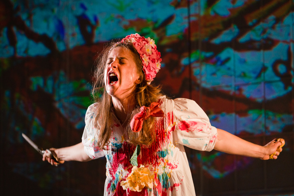 Photo Flash: First Look at the UK Tour of MALORY TOWERS Image