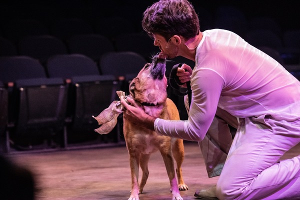 Photo Flash: Get A First Look At PIPPIN At Ephrata Performing Arts Center Image