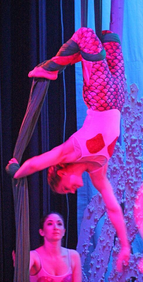BWW Previews: NEW TAMPA PLAYER'S THE LITTLE MERMAID IS A CIRQUE TWIST ON A DISNEY CLASSIC at University Area CDC Image