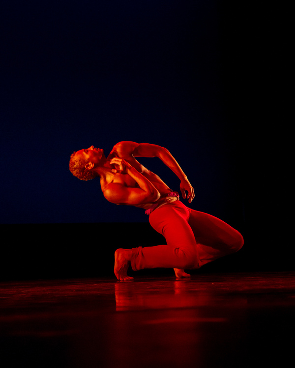 Review: DANCERS FOR GOOD 2019 Outdoes Itself Again! Image