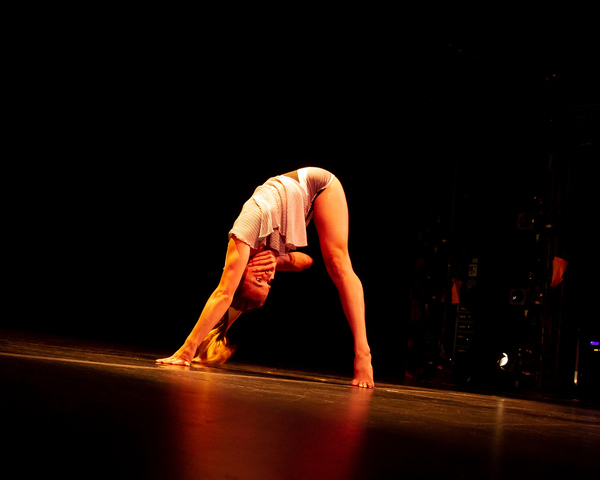 Carolyn Dorfman Dance "Interior Designs" (excerpts) at the Dancers For Good Benefit 2 Photo