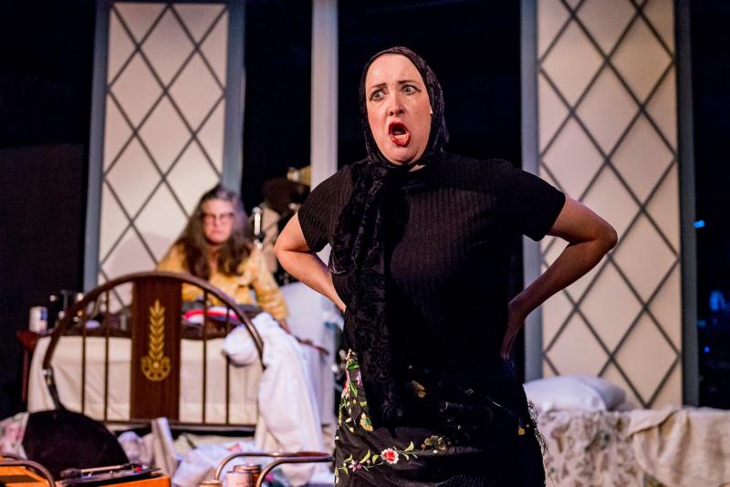 Review: RICHMOND SUMMER THEATRE at Various Local Theaters Image