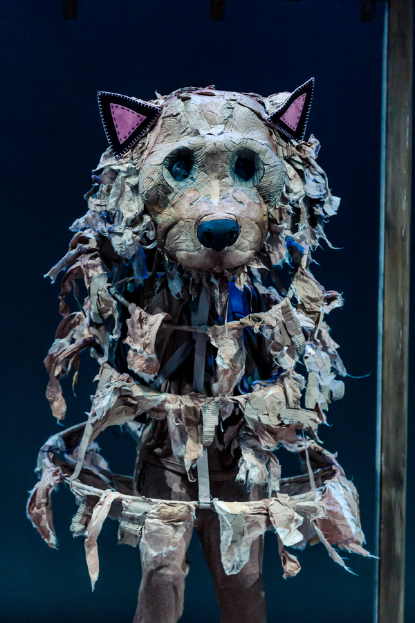 Photo Flash: First Look at MR. GUM AND THE DANCING BEAR at the National Theatre Image