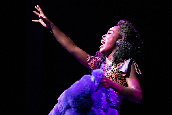 Photo Flash: SISTER ACT At Arizona Broadway Theatre Is Fabulous Baby! Image