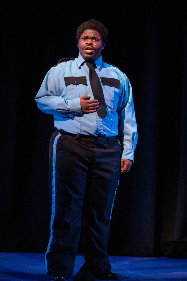 Photo Flash: SISTER ACT At Arizona Broadway Theatre Is Fabulous Baby! Image