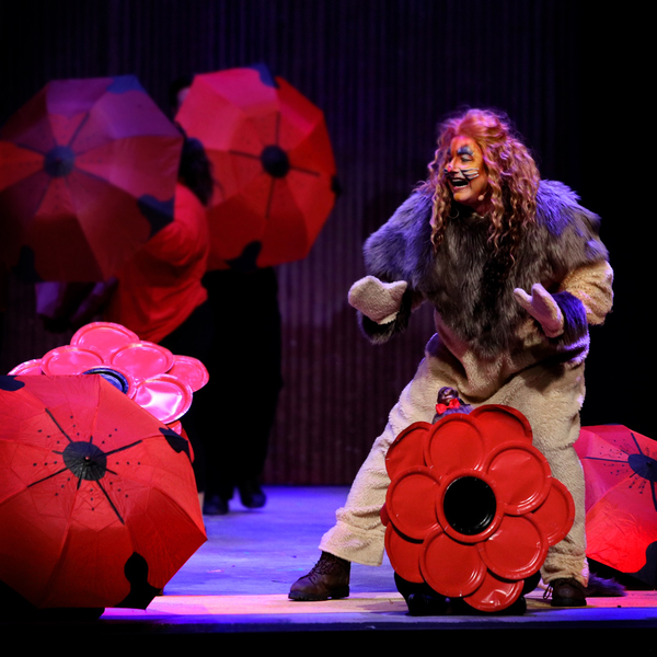 Photo Flash: THE WIZARD OF OZ At Theatre In The Park Image