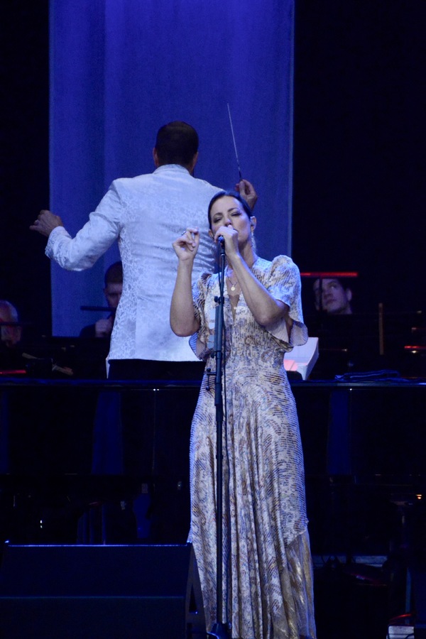 Photo Coverage: Sarah McLachlan Appears With Steven Reineke and the New York Pops at Forest Hills Image