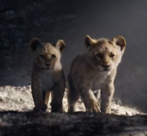 Interview: THE LION KING's Shahadi Wright Joseph on Broadway Beginnings, Black Girl Magic, and Forging a Future in Film Image