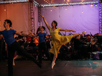 Review:  DANCE IN AMERICA - A MUSICAL AND DANCE TRIBUTE TO AMERICAN COMPOSERS - MARINA CONCERT at Burton Chase Park  Image