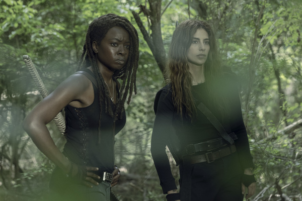 Photo Flash: See New First Look Images from THE WALKING DEAD Season 10 Image