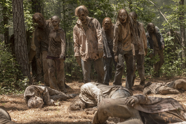 Photo Flash: See New First Look Images from THE WALKING DEAD Season 10 