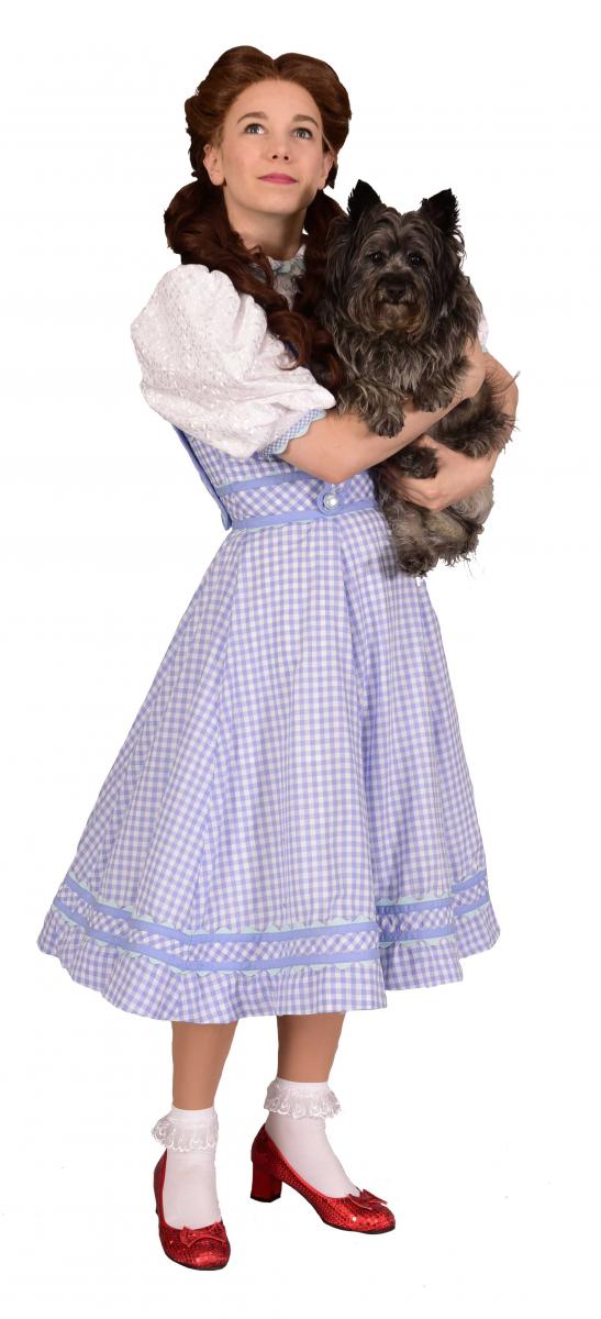 Review: The Magic of OZ; The Miracle of MSMT Image