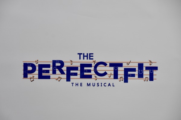 Photo Coverage: THE PERFECT FIT Celebrates Opening Night Image