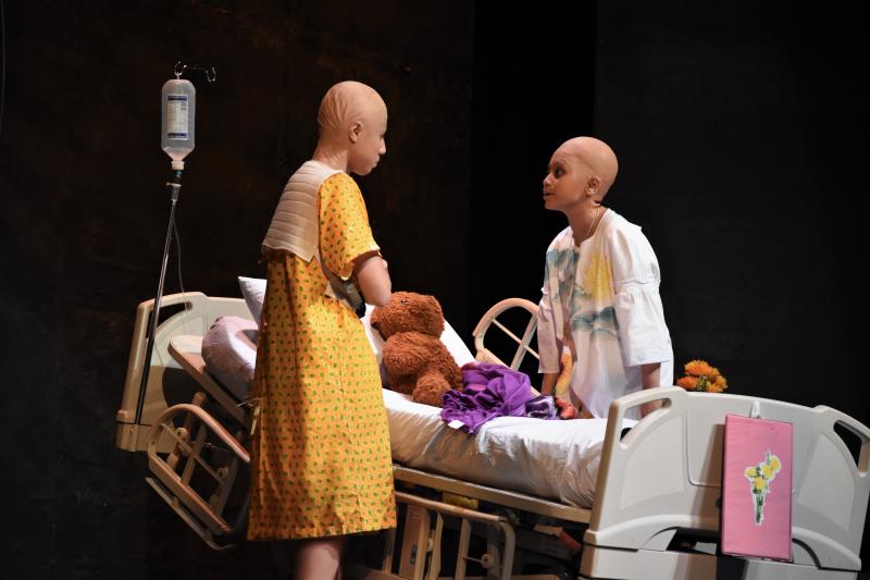 Photo Coverage: DANI GIRL Returns to the Stage; Show Runs Now Thru Sept. 1 
