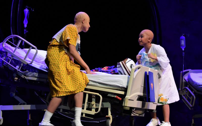Photo Coverage: DANI GIRL Returns to the Stage; Show Runs Now Thru Sept. 1 Image