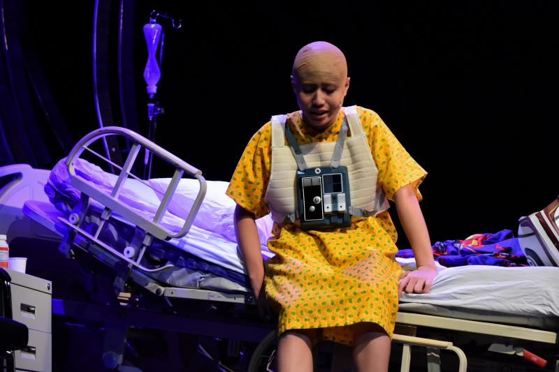 Photo Coverage: DANI GIRL Returns to the Stage; Show Runs Now Thru Sept. 1 Image