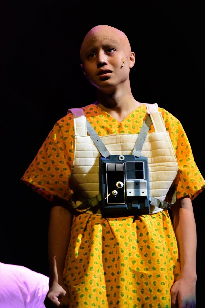 Photo Coverage: DANI GIRL Returns to the Stage; Show Runs Now Thru Sept. 1 Image