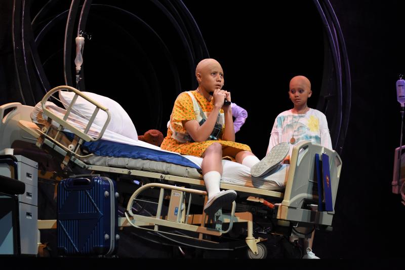 Photo Coverage: DANI GIRL Returns to the Stage; Show Runs Now Thru Sept. 1 Image