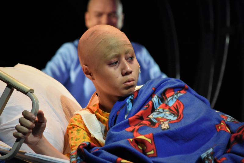 Photo Coverage: DANI GIRL Returns to the Stage; Show Runs Now Thru Sept. 1 Image